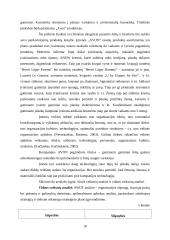 AVON įmonės strateginio plano metmenys 10 puslapis