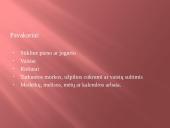 Teisingos mitybos svarba 17 puslapis