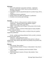 Balys Sruoga 1896-1947 3 puslapis