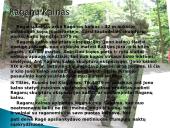 Kuršių Nerija pristatymas 5 puslapis