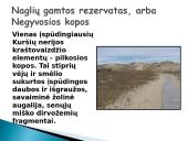Kuršių Nerija pristatymas 8 puslapis