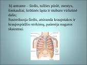 Mėnulio fazės ir įtaka žmogui 12 puslapis