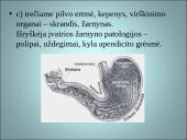 Mėnulio fazės ir įtaka žmogui 13 puslapis