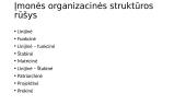 Įmonės organizacinės struktūros tipai 2 puslapis