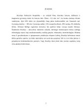 Brazilijos pramogų ir verslo turizmas 2 puslapis