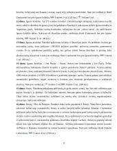 Brazilijos pramogų ir verslo turizmas 11 puslapis