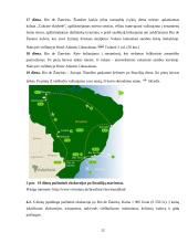 Brazilijos pramogų ir verslo turizmas 12 puslapis