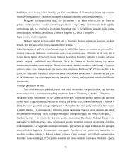 Brazilijos pramogų ir verslo turizmas 15 puslapis