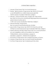 Brazilijos pramogų ir verslo turizmas 17 puslapis