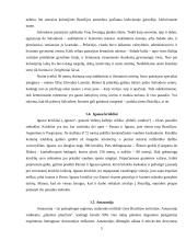 Brazilijos pramogų ir verslo turizmas 5 puslapis