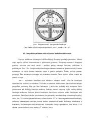 Rekreacijos ir kelionių raida Viduramžiais 7 puslapis