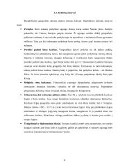 Rekreacijos ir kelionių raida Viduramžiais 8 puslapis