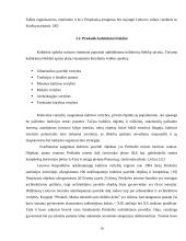 Turizmo plėtros Priekulėje galimybės 14 puslapis