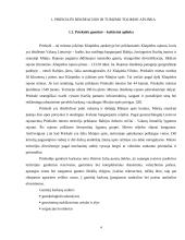 Turizmo plėtros Priekulėje galimybės 4 puslapis