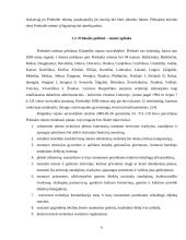 Turizmo plėtros Priekulėje galimybės 6 puslapis