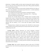 Turizmo plėtros Priekulėje galimybės 9 puslapis