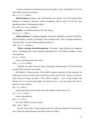 Transporto įmonės IĮ „Transkelias“ verslo planas 11 puslapis