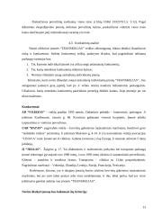 Transporto įmonės IĮ „Transkelias“ verslo planas 13 puslapis