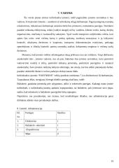 Transporto įmonės IĮ „Transkelias“ verslo planas 19 puslapis