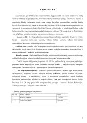 Transporto įmonės IĮ „Transkelias“ verslo planas 5 puslapis