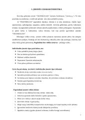 Transporto įmonės IĮ „Transkelias“ verslo planas 7 puslapis