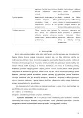 Transporto įmonės IĮ „Transkelias“ verslo planas 10 puslapis