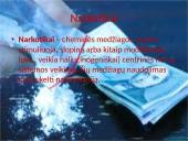 Darbas apie narkotikus 2 puslapis