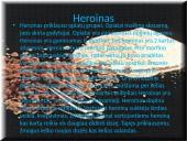 Darbas apie narkotikus 12 puslapis