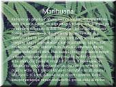 Darbas apie narkotikus 9 puslapis