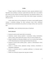 Individuali mitybos analizė 3 puslapis