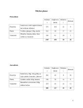 Individuali mitybos analizė 4 puslapis