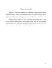 Individuali mitybos analizė 8 puslapis