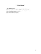 Individuali mitybos analizė 10 puslapis