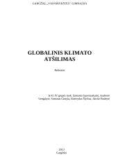 Globalinis klimato atšilimas referatas