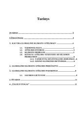 Globalinis klimato atšilimas referatas 2 puslapis
