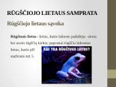 Rūgštieji lietūs skaidrės 6 puslapis