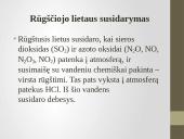Rūgštieji lietūs skaidrės 7 puslapis