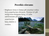 Rūgštieji lietūs skaidrės 10 puslapis