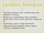 Salomėja Nėris. Biografija ir kūryba. 13 puslapis