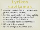 Salomėja Nėris. Biografija ir kūryba. 14 puslapis