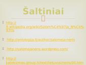 Salomėja Nėris. Biografija ir kūryba. 16 puslapis