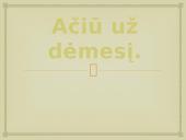 Salomėja Nėris. Biografija ir kūryba. 17 puslapis