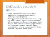 Įdomiausi istoriniai faktai 13 puslapis