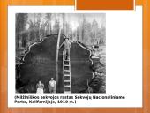 Įdomiausi istoriniai faktai 14 puslapis