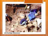 Įdomiausi istoriniai faktai 10 puslapis