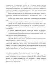 Lietuvos užsienio prekybos pokyčiai įstojus į ES 2 puslapis