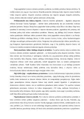 Lietuvos užsienio prekybos pokyčiai įstojus į ES 4 puslapis