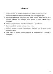 Ieškininės senaties paskirtis, jos terminai, skaičiavimo tvarkos ypatumai 12 puslapis