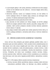 Ieškininės senaties paskirtis, jos terminai, skaičiavimo tvarkos ypatumai 10 puslapis