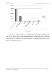 Lietuvos Respublikos žemės fondo tyrimas 13 puslapis